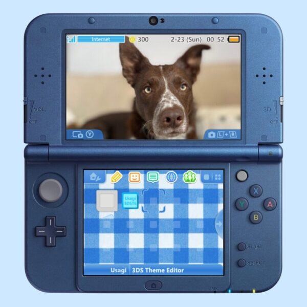Custom-theme-listing-picture.jpg Custom Nintendo 3DS Theme